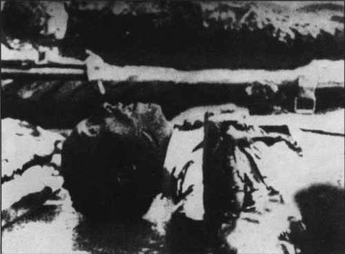 Гитлер. Неотвратимость судьбы _77.jpg