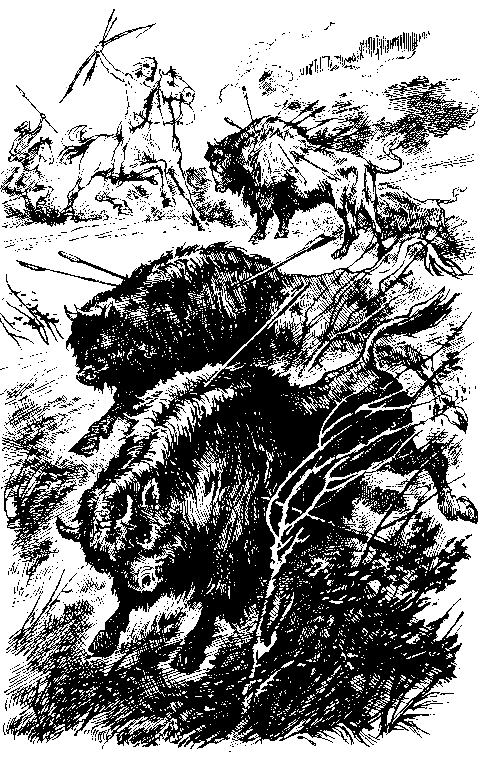 Харка — сын вождя (илл. И. Кусков) pic_14.png