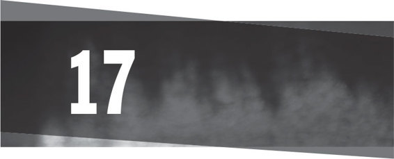 Gathering Prey _20.jpg