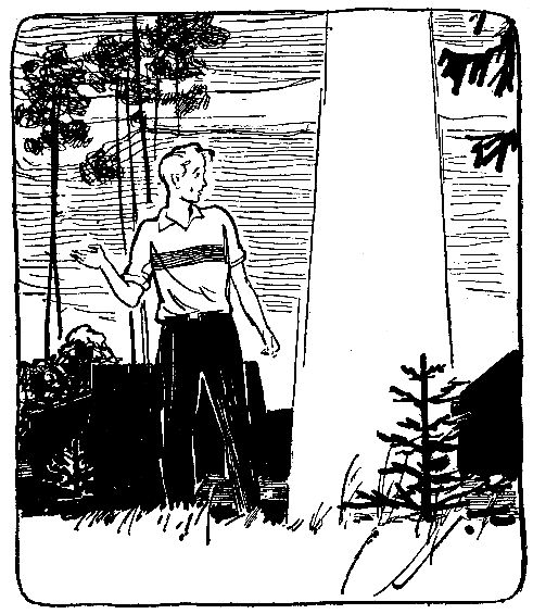 Шаги в неизвестное (сборник) pic_3.png