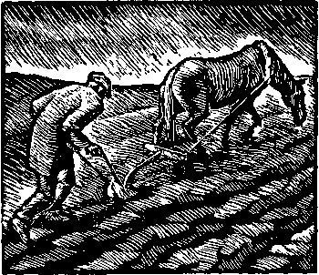Творцы и памятники i_028.jpg