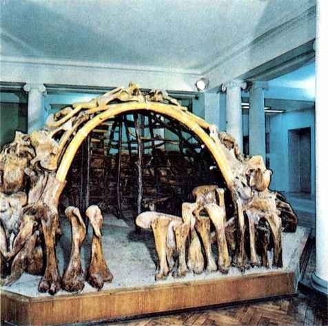История Украинской ССР в десяти томах. Том первый img_1.jpg