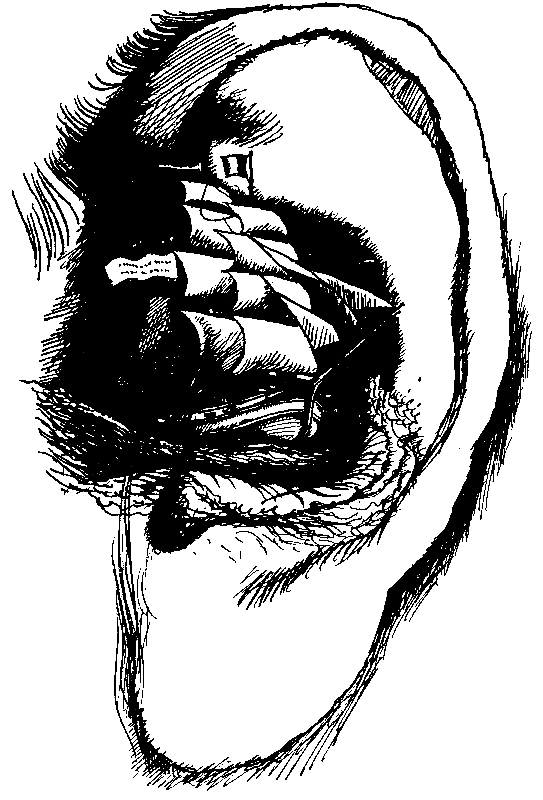 ЧАО — победитель волшебников (сборник) pic_43.png