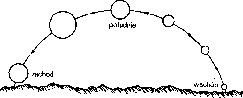 Proxima _9.jpg