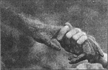 Тайны открытий XX века i_129.jpg