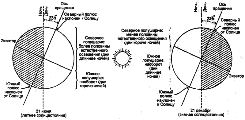 Часы, по которым мы живем. От солнечных часов до лунного календаря i_014.png