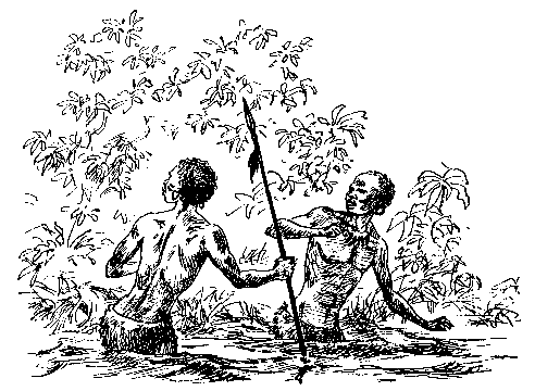 Берег черного дерева и слоновой кости (илл. С. Яровой) pic_16.png