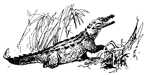 Берег черного дерева и слоновой кости (илл. С. Яровой) pic_18.png