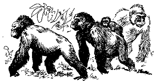 Берег черного дерева и слоновой кости (илл. С. Яровой) pic_20.png