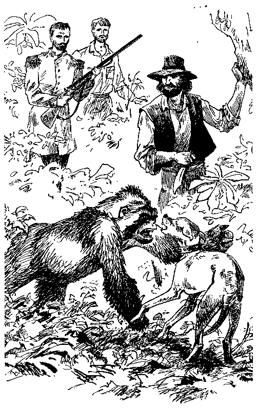 Берег черного дерева и слоновой кости (илл. С. Яровой) pic_21.png