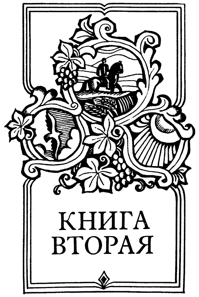 Кабахи i_018.png