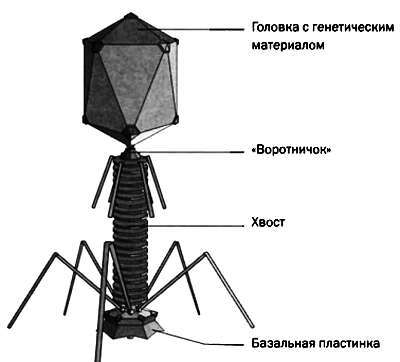  Разум, машины и математика. Искусственный интеллект и его задачи _69.jpg