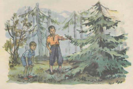 Про Гришу и Мишу img_15.jpg