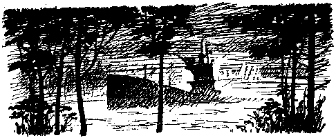 Секретный фарватер (илл. В. Бибикова) pic_13.png