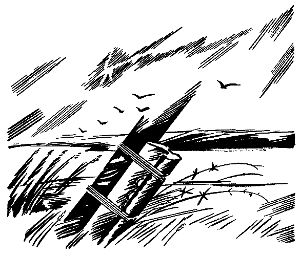 Товарищи (сборник) i_003.png