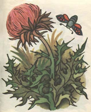 Цветы img_6.jpg