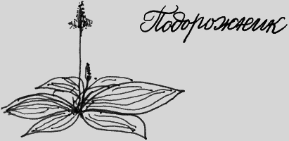 Мартиролог. Дневники i_135.png