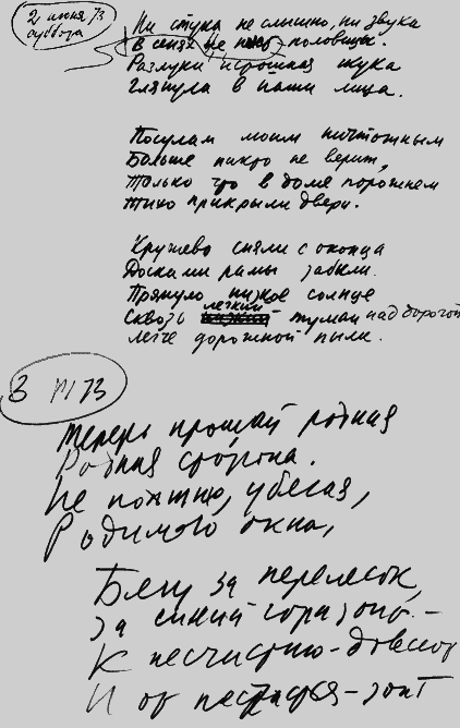 Мартиролог. Дневники i_041.png