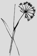 Мартиролог. Дневники i_058.png
