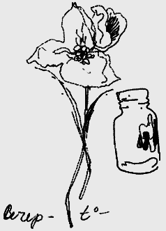 Мартиролог. Дневники i_085.png