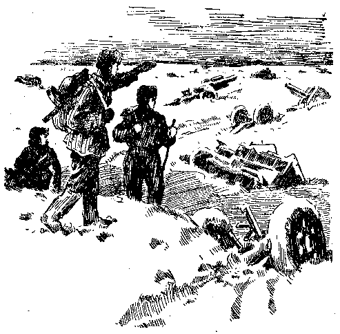 Золото (илл. Р.В. Гершаник) pic_34.png