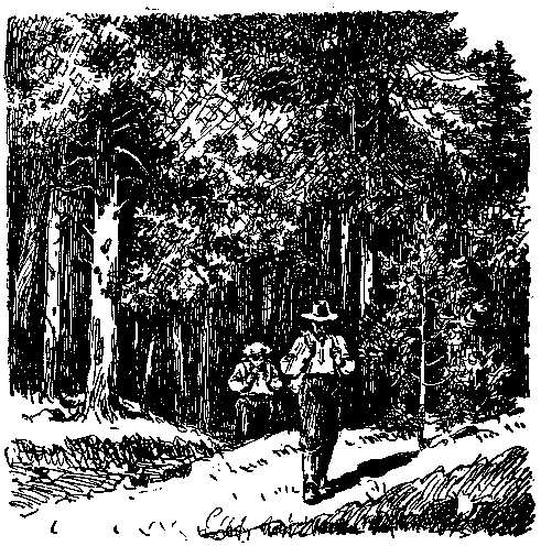 Золото (илл. Р.В. Гершаник) pic_10.png