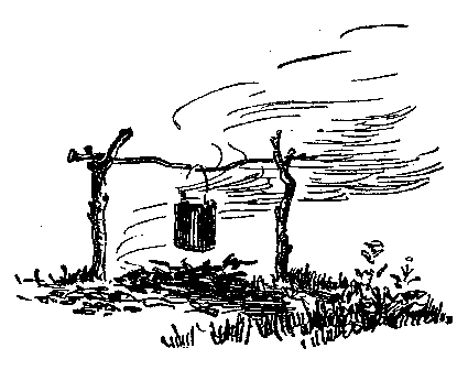 Золото (илл. Р.В. Гершаник) pic_12.png