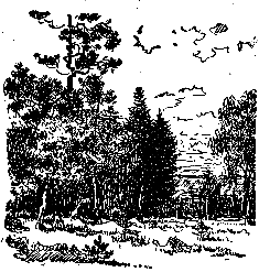 Золото (илл. Р.В. Гершаник) pic_16.png