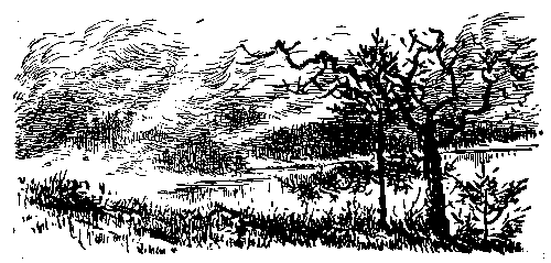 Золото (илл. Р.В. Гершаник) pic_19.png