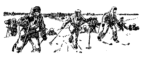 Золото (илл. Р.В. Гершаник) pic_29.png