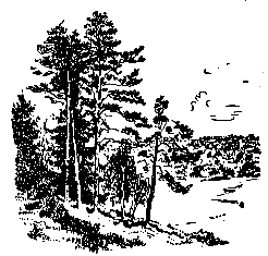 Золото (илл. Р.В. Гершаник) pic_31.png