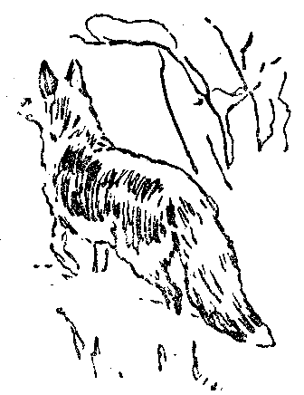Моя жизнь (илл. В. Садков) pic_11.png