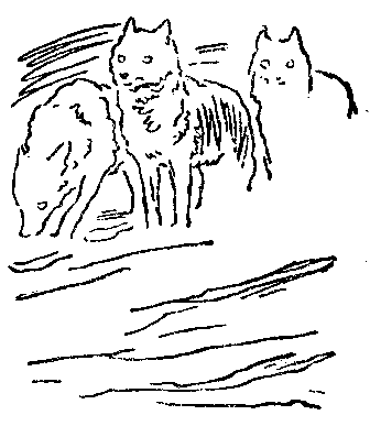 Моя жизнь (илл. В. Садков) pic_14.png