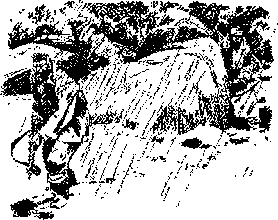 Песни черного дрозда (сборник) pic_4.png