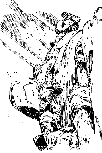 Песни черного дрозда (сборник) pic_11.png