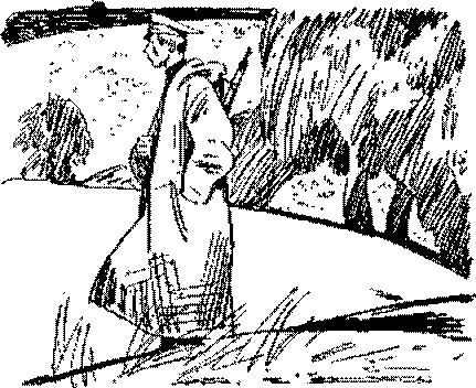 Песни черного дрозда (сборник) pic_12.png
