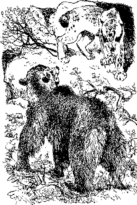 Песни черного дрозда (сборник) pic_14.png