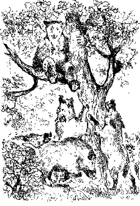 Песни черного дрозда (сборник) pic_17.png
