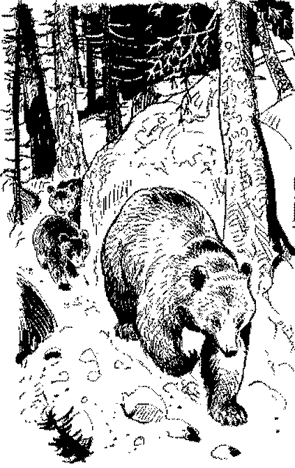 Песни черного дрозда (сборник) pic_8.png