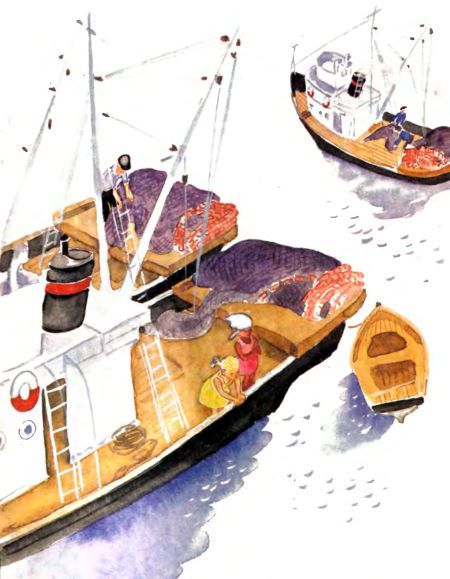 Крабий тупик i_013.jpg