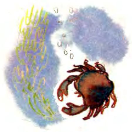 Крабий тупик i_022.jpg