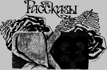 Девственность и другие рассказы. Порнография. Страницы дневника i_002.png