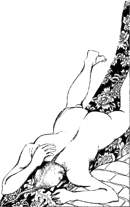 Девственность и другие рассказы. Порнография. Страницы дневника i_014.png