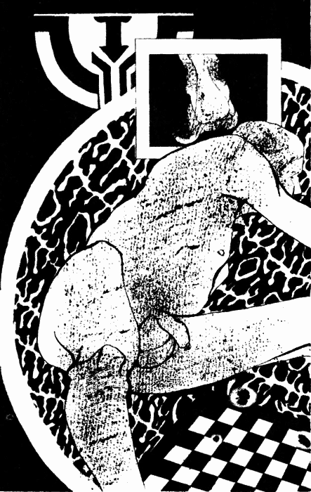 Девственность и другие рассказы. Порнография. Страницы дневника i_018.png