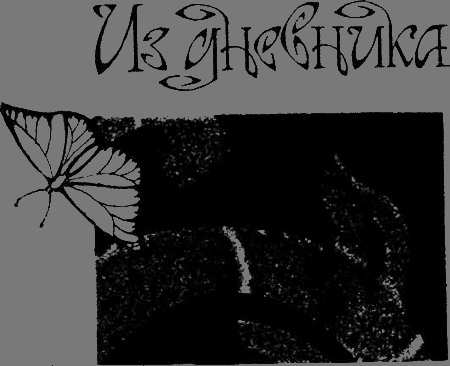 Девственность и другие рассказы. Порнография. Страницы дневника i_030.png