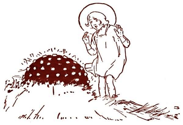 Волшебство Страны Оз (с илл.) i_040.jpg
