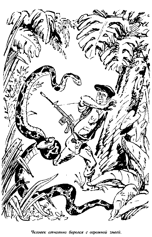 Черный свет (сборник) pic_61.png