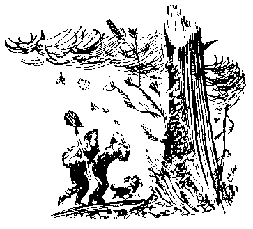 Черный свет (сборник) pic_67.png