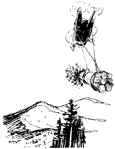 Черный свет (сборник) pic_21.png