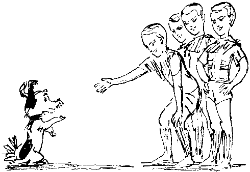 Черный свет (сборник) pic_28.png